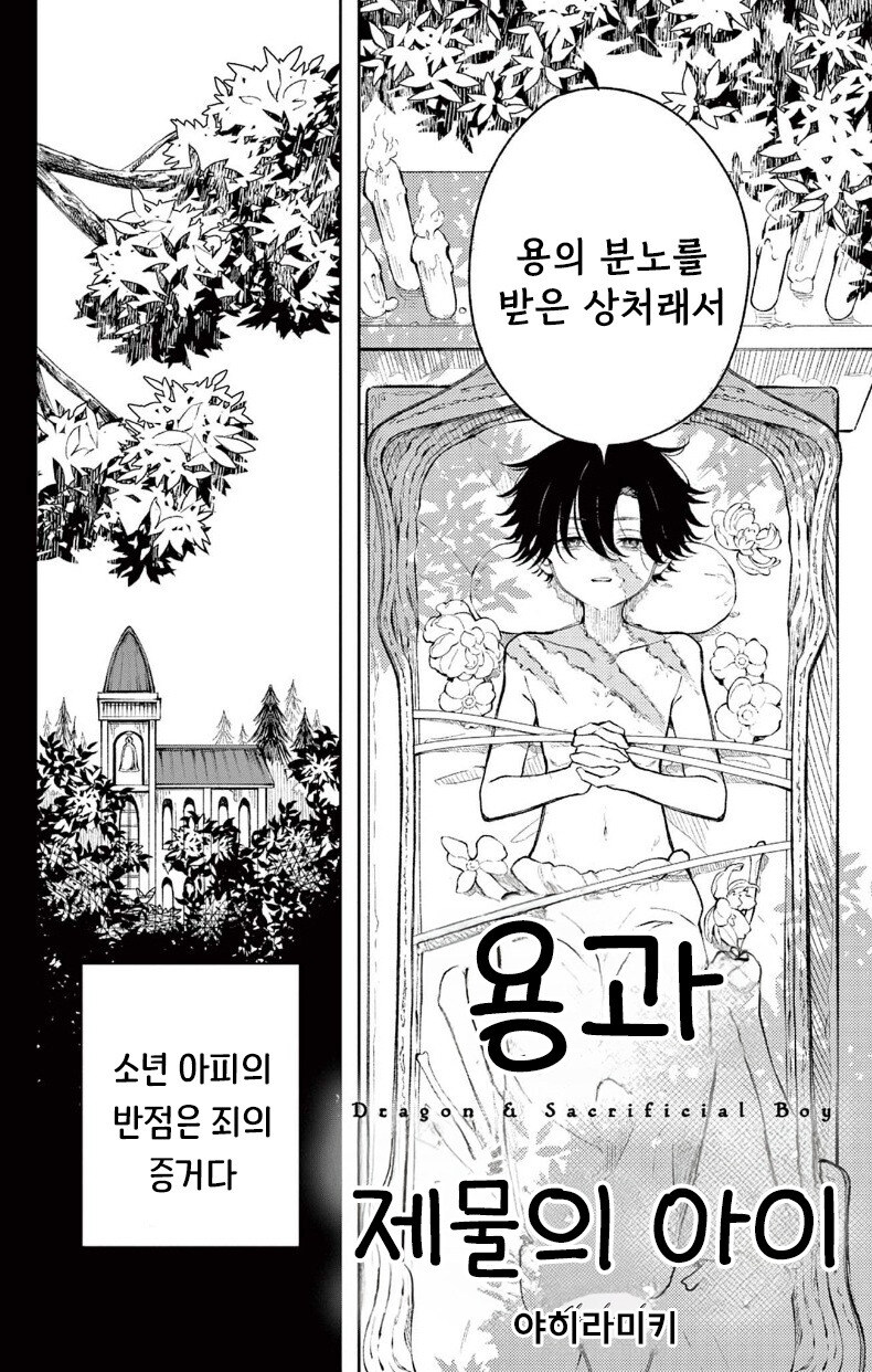 용과 제물의 아이 만화 .manhwa_2.jpg
