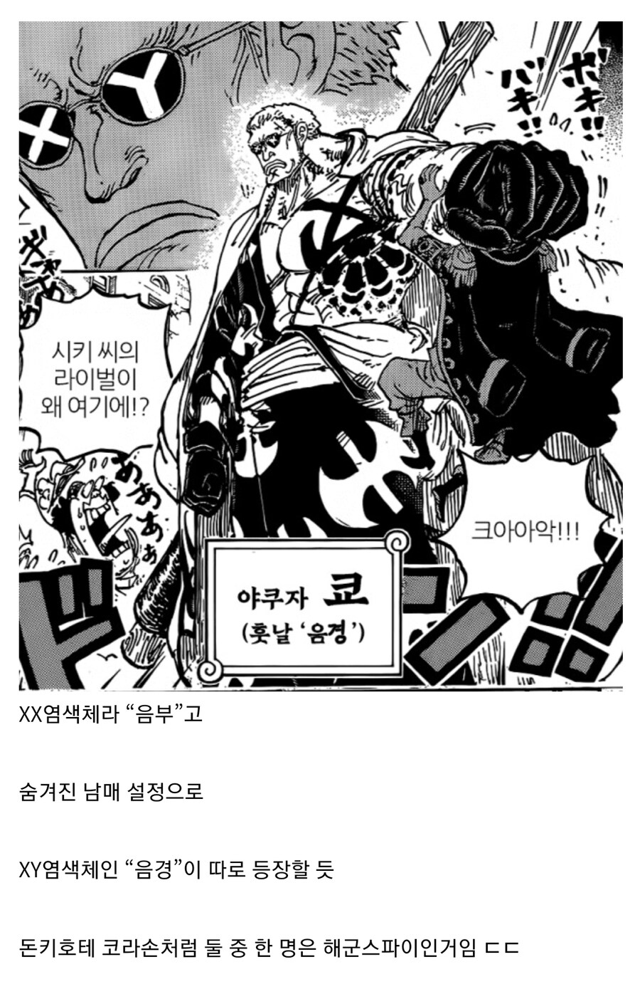 원피스) 신캐 안경 디자인이 특이한 이유 추측_2.jpg