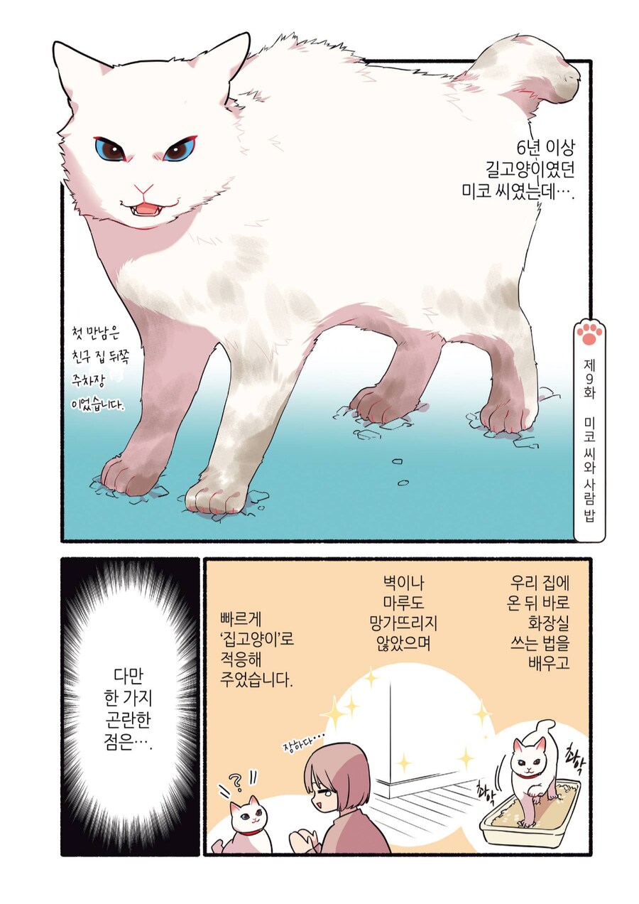 6년 이상 길고양이로 살던 고양이를 입양한 결과.manhwa_1.png
