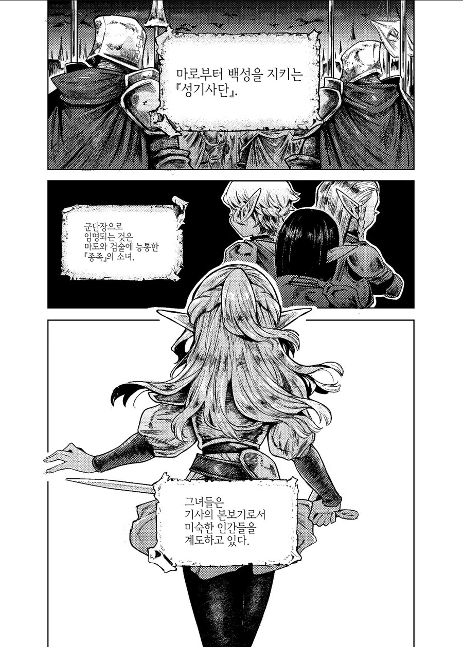 엘프성기사단장 manga_1.jpg