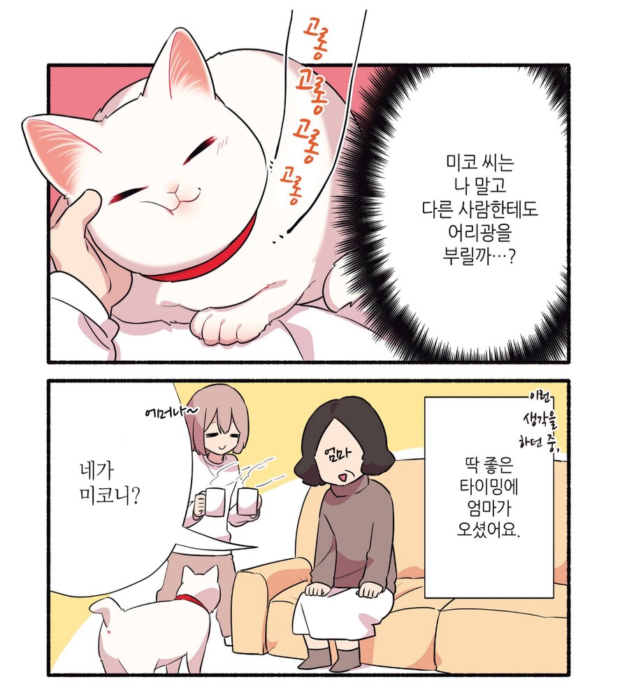 6년 동안 길거리 생활을 해온 길고양이를 입양했다.manhwa_1.png