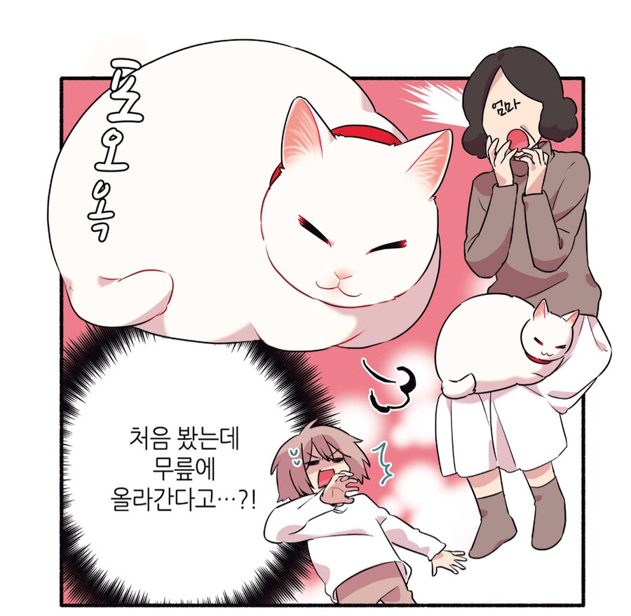 6년 동안 길거리 생활을 해온 길고양이를 입양했다.manhwa_2.png