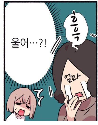 6년 동안 길거리 생활을 해온 길고양이를 입양했다.manhwa_3.png