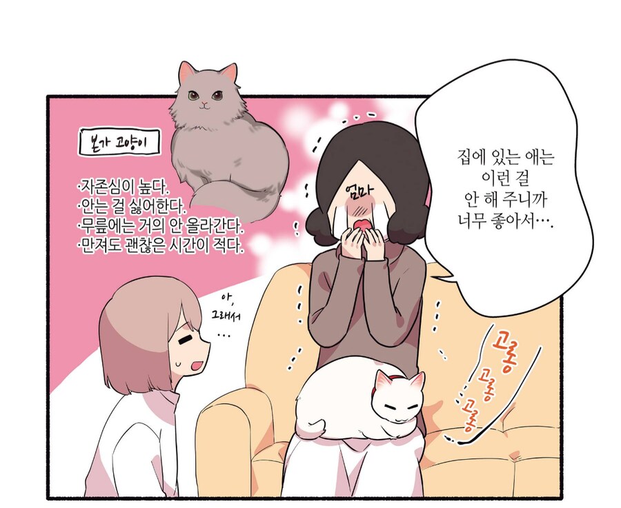 6년 동안 길거리 생활을 해온 길고양이를 입양했다.manhwa_4.png