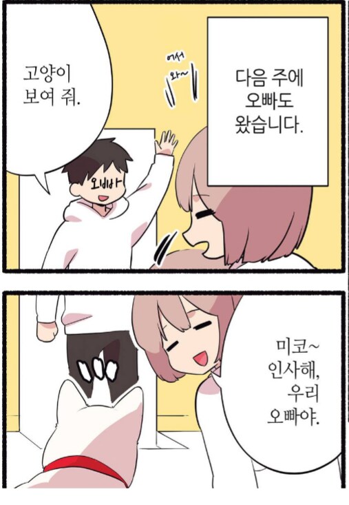 6년 동안 길거리 생활을 해온 길고양이를 입양했다.manhwa_5.png