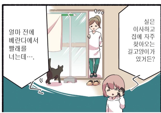 자주 보인다는 길고양이 유형.manhwa_1.png