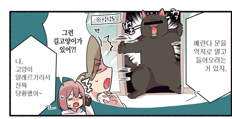 자주 보인다는 길고양이 유형.manhwa_2.png