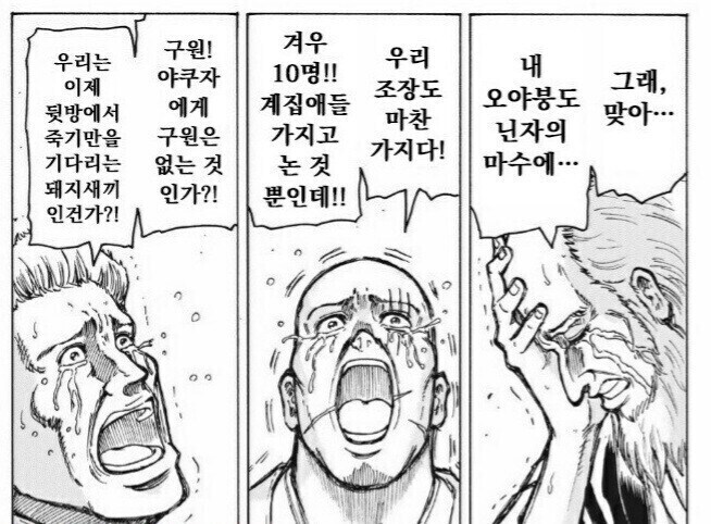 닌자들이 얼마나 사악한지 알려주는 manga_3.jpg