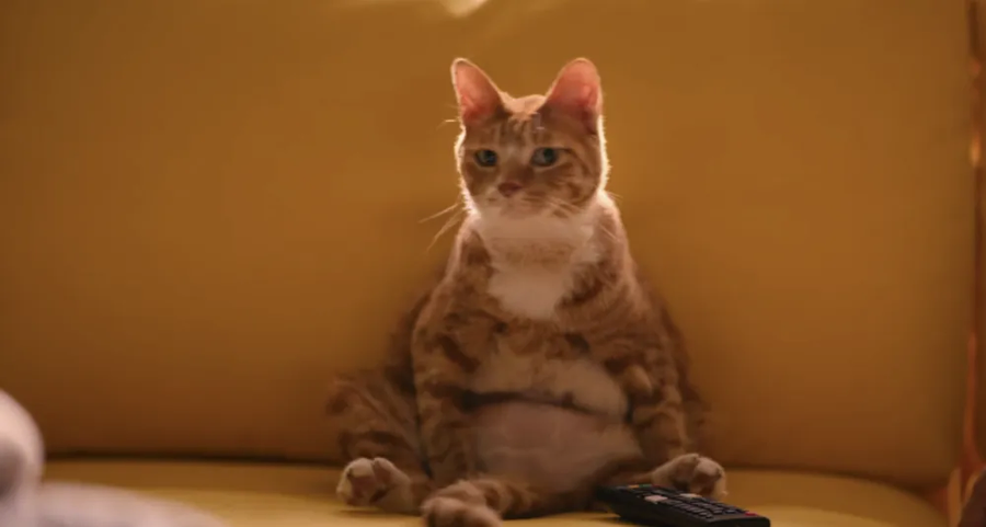 좀비딸) 만화를 찢고 나온 애용이_2.webp