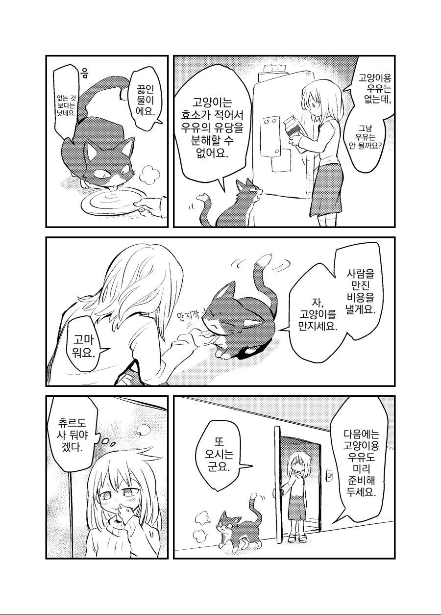 고양이가 찾아오는 만화_2.jpg