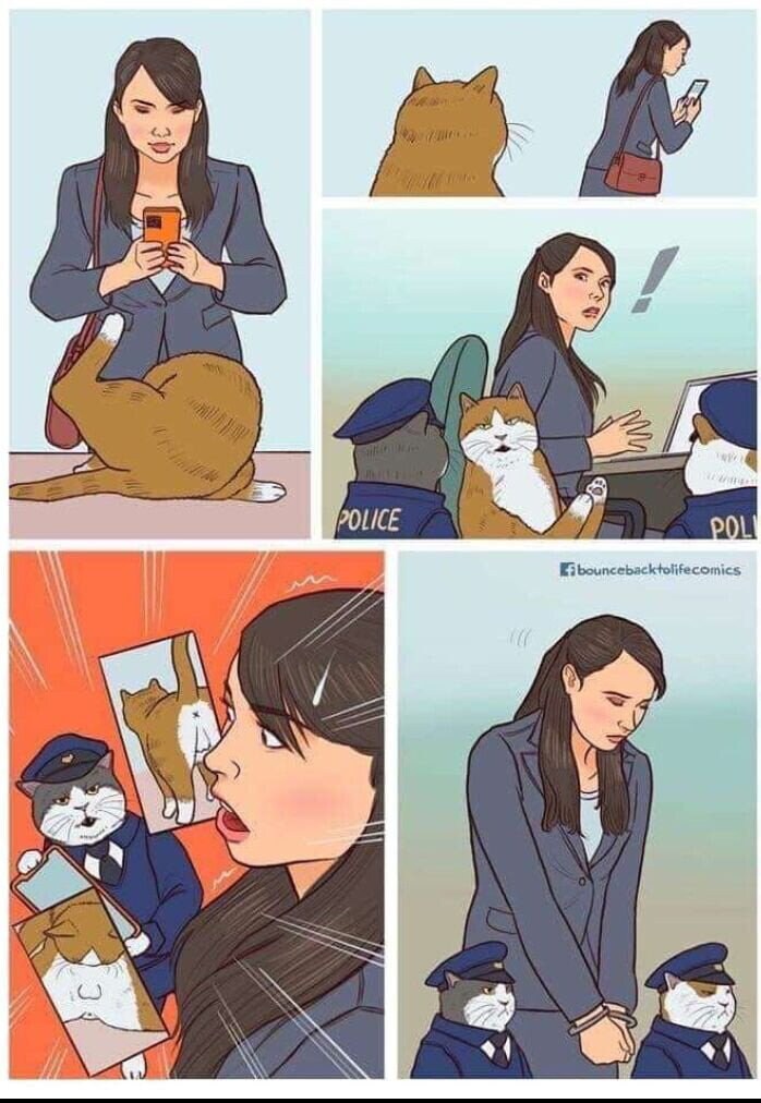 고양이 사진을 찍다_1.jpg