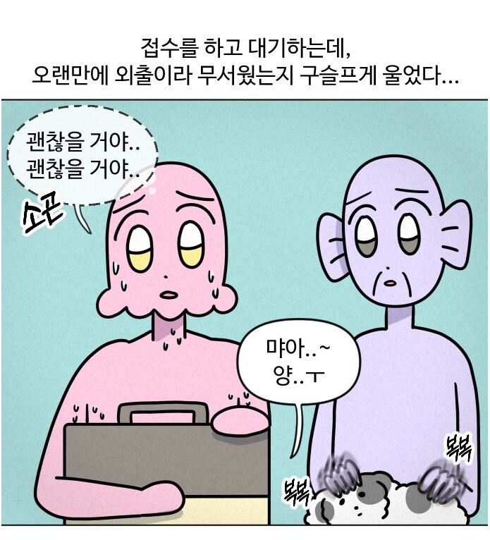 고양이가 갑자기 배가 나와서 병원에 가봤다.manhwa_4.png