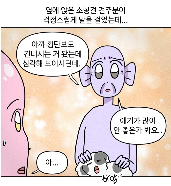 고양이가 갑자기 배가 나와서 병원에 가봤다.manhwa_5.png