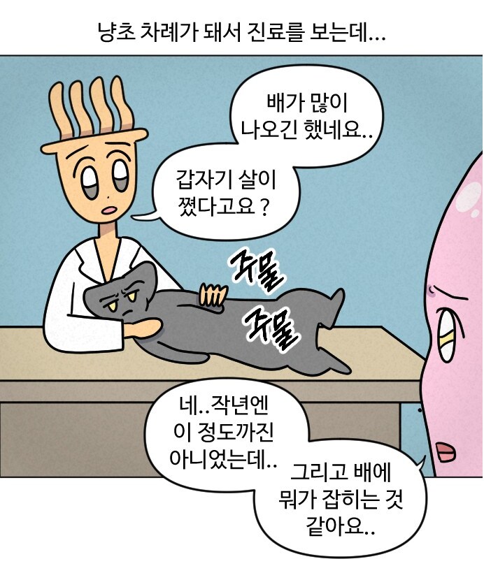 고양이가 갑자기 배가 나와서 병원에 가봤다.manhwa_7.png