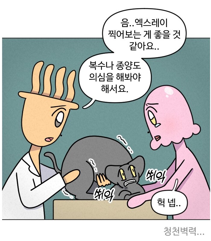 고양이가 갑자기 배가 나와서 병원에 가봤다.manhwa_8.png