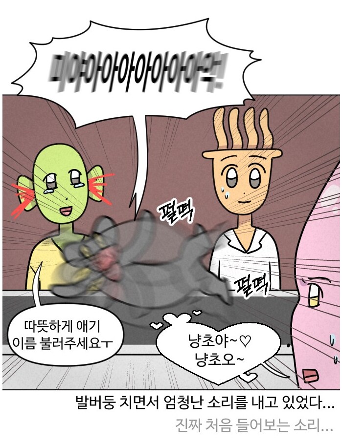 고양이가 갑자기 배가 나와서 병원에 가봤다.manhwa_11.png