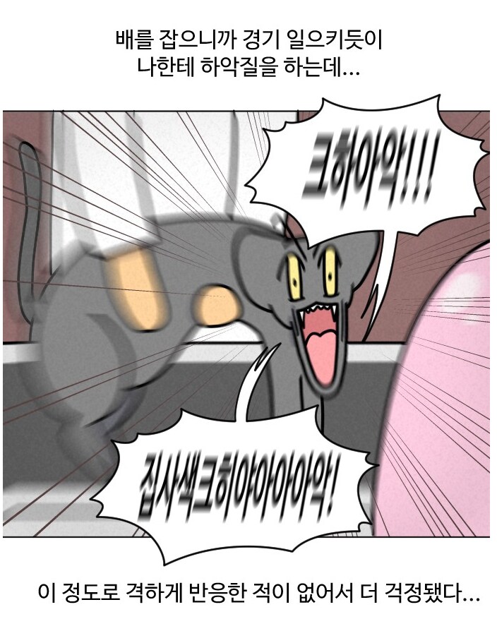 고양이가 갑자기 배가 나와서 병원에 가봤다.manhwa_12.png