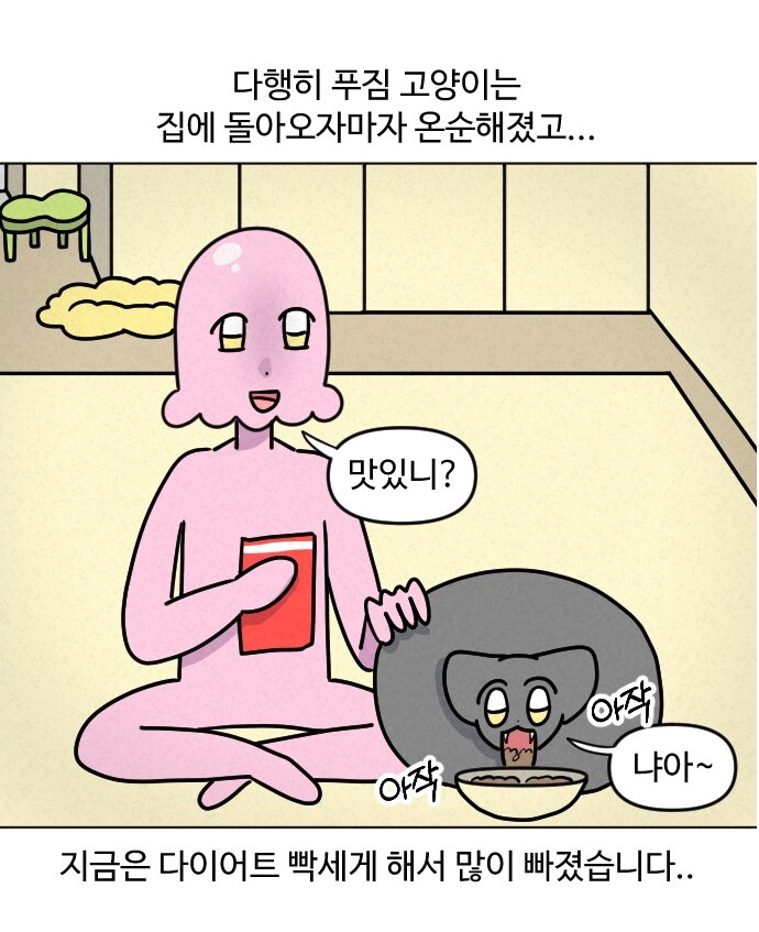 고양이가 갑자기 배가 나와서 병원에 가봤다.manhwa_16.png
