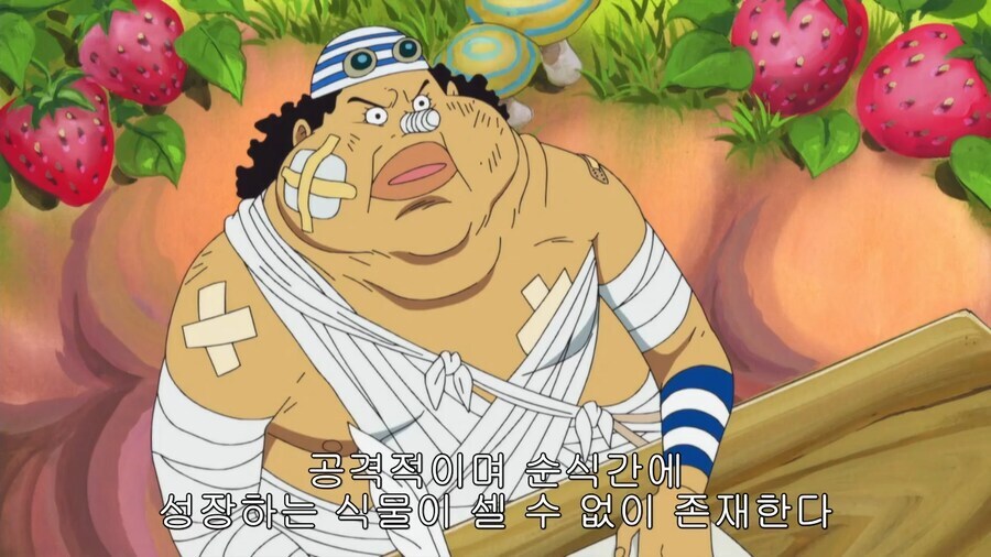 원피스)다른 의미로 대단한 캐릭터_8.png