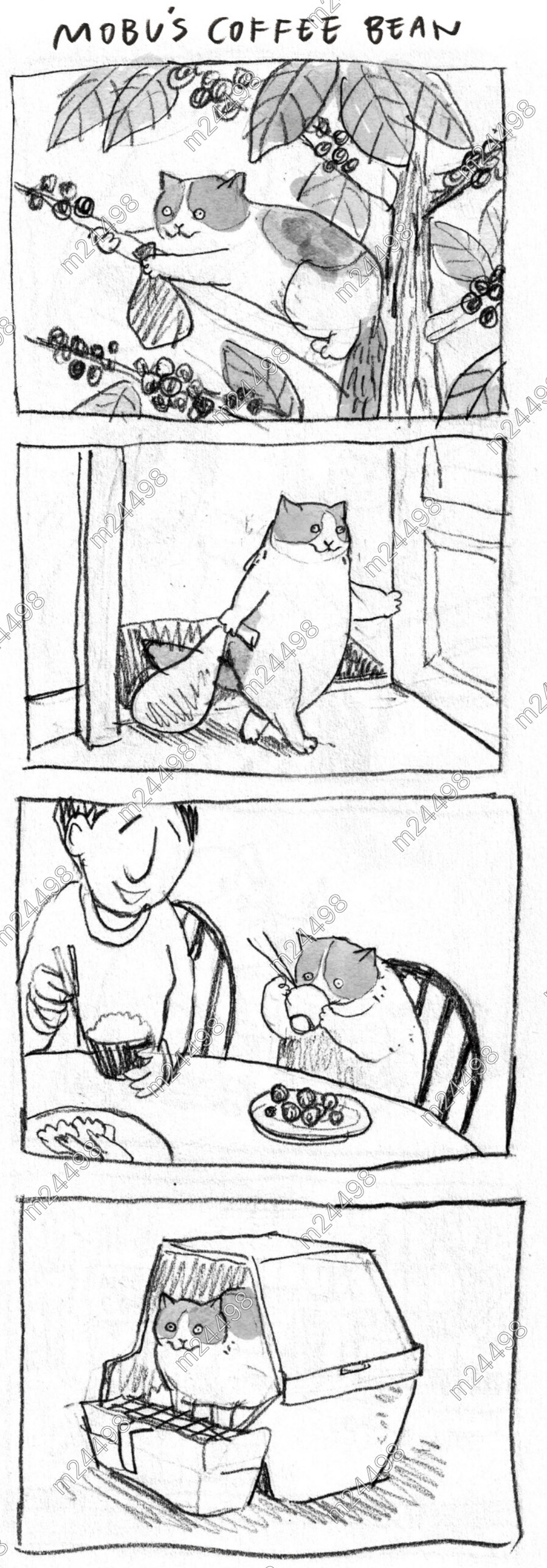 고양이 응가 커피 만드는 만화_1.jpg