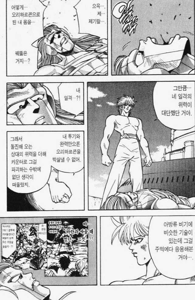 [다이의대모험]주먹으로 승부를 보고 싶었던 흉켈_7.jpg