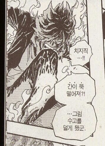 원피스] 작가가 고민 존나 한 게 보이는 캐릭터_2.png