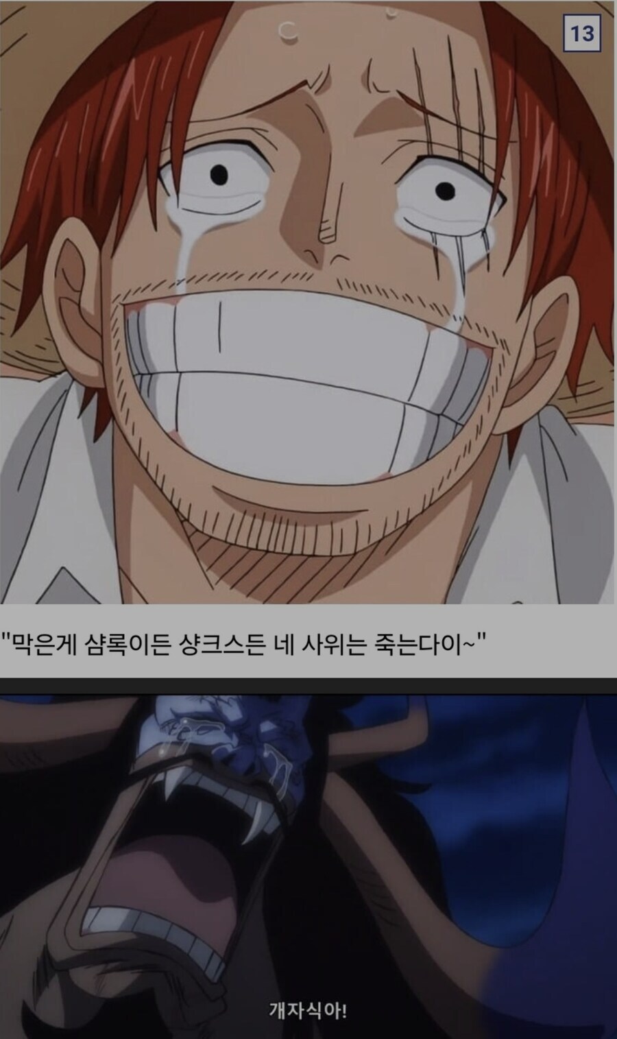 원피스)점점 실체가 드러나고 있는 정상결전 당시 카이도의 진실_5.jpg