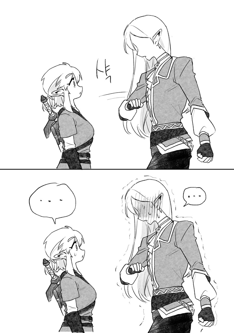 젤다왕자와 링크.MANGA_3.jpg