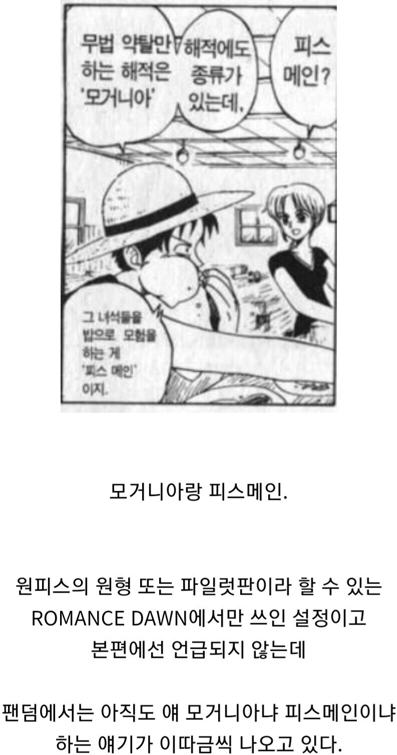 원피스) 작가는 애초에 버린 설정인데 팬덤에서 꾸준히 나오는 얘기.jpg_1.jpg