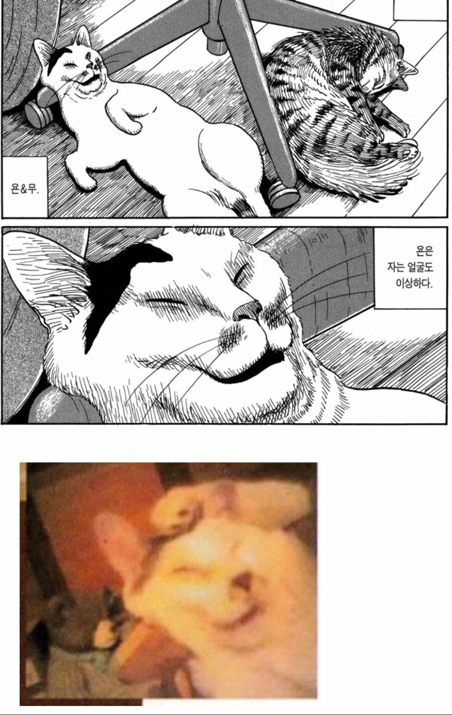 이토준지) 호러와 개그는 한장차이_4.jpg