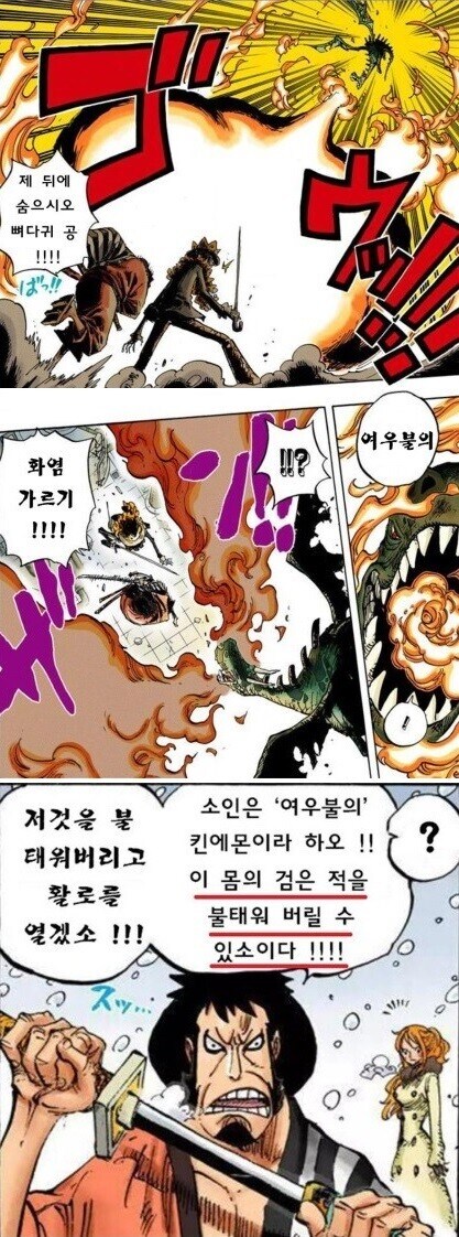 원피스) 세계관에서 사람이 가능한것과 못하는 것_1.jpg