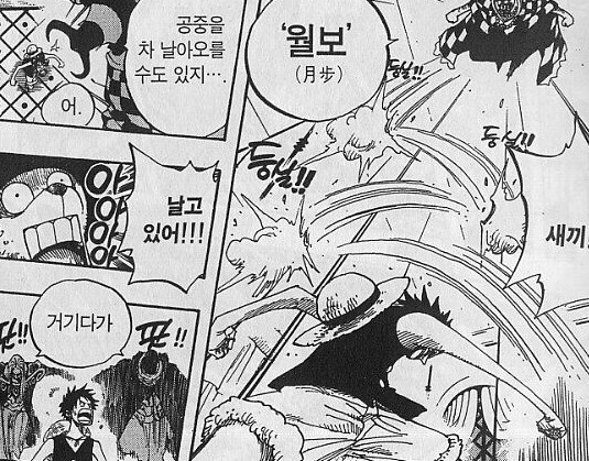 원피스) 세계관에서 사람이 가능한것과 못하는 것_3.jpg