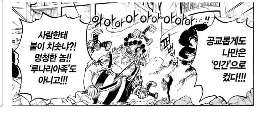 원피스) 세계관에서 사람이 가능한것과 못하는 것_5.jpg