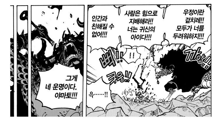 원피스) 카이도 용버지 밈의 팩트 체크.jpg_7.jpg