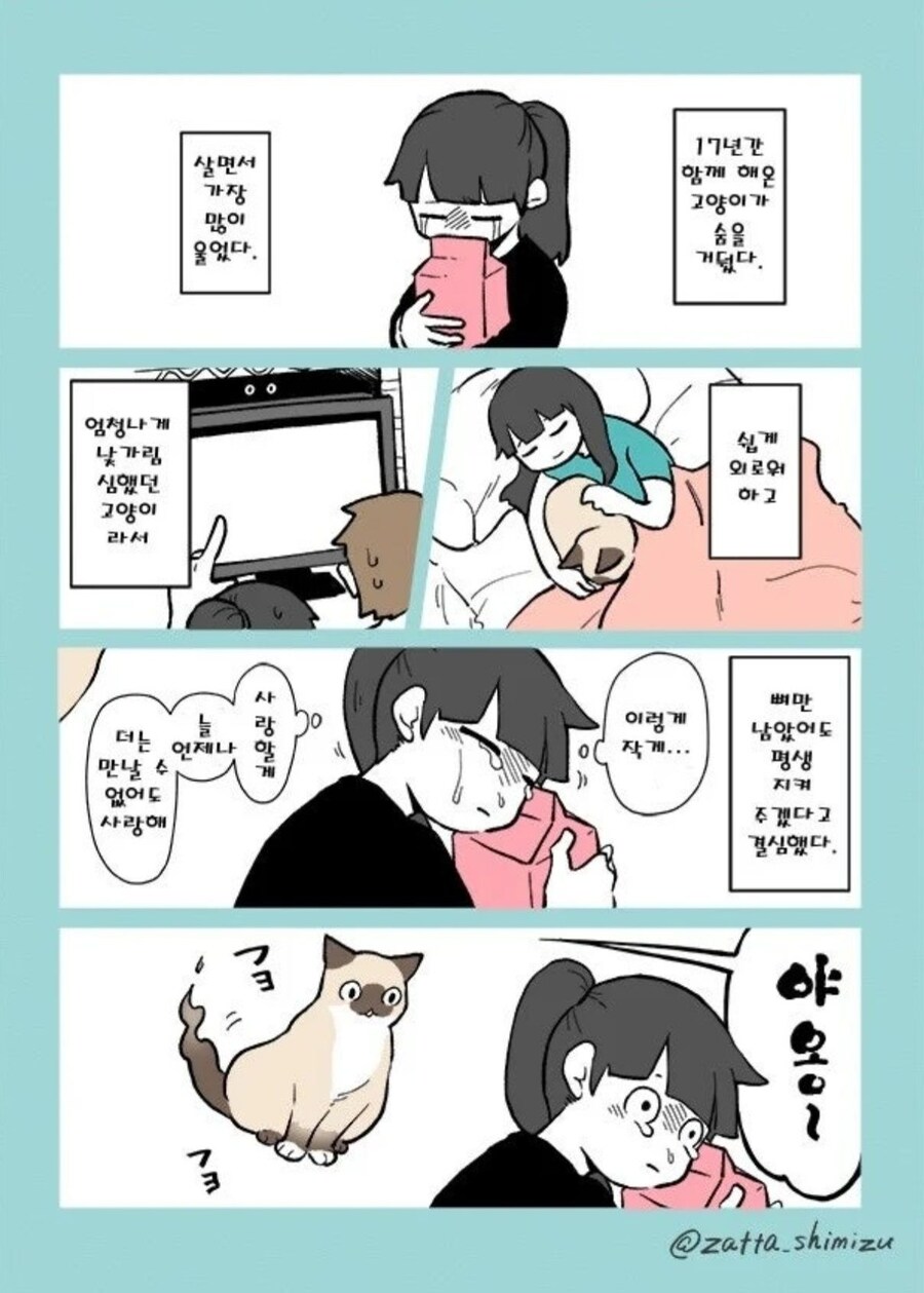 죽은 고양이가 다시 나타나는 만화_1.jpg