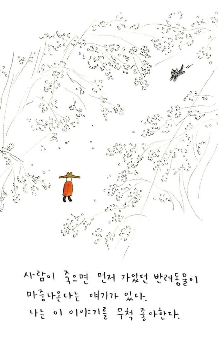 죽은 고양이가 다시 나타나는 만화_5.jpg