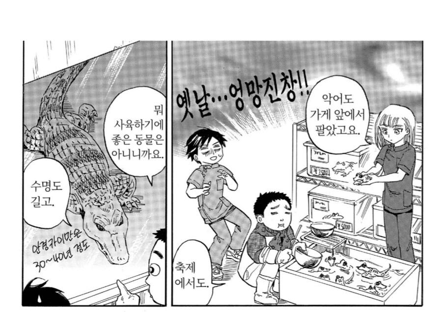 일본에서 사육이 금지된 애완동물.manhwa_3.png
