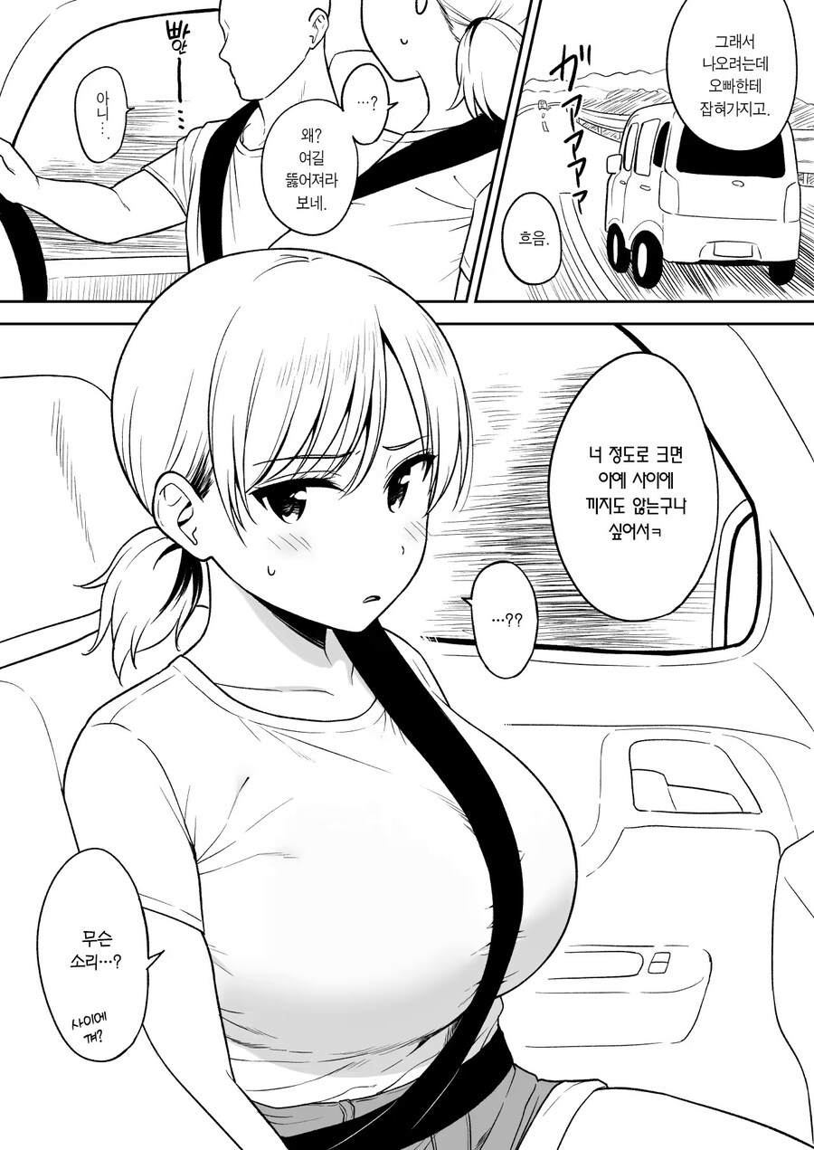 가슴 커도 안전벨트 안 끼게 하는 방법_2.jpg