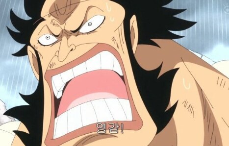 원피스) 팔보수군:습격!!!!!!! 습격자는......!!!_6.png