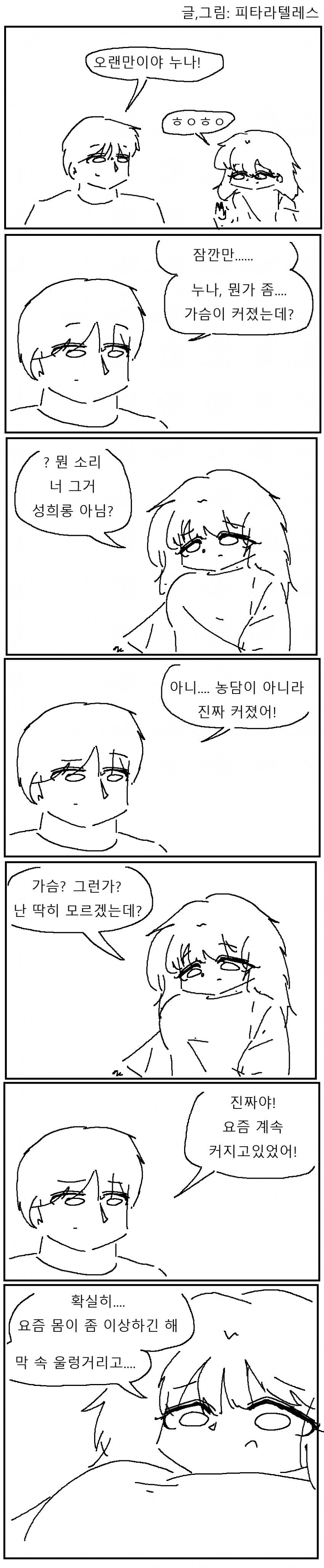 누나의 가슴이 터지는 만화_1.png