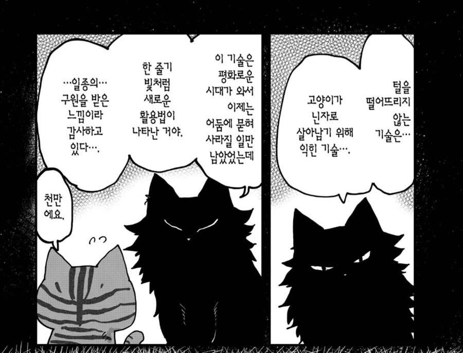 닌자고양이조차 버거웠던 상대.manhwa_1.png