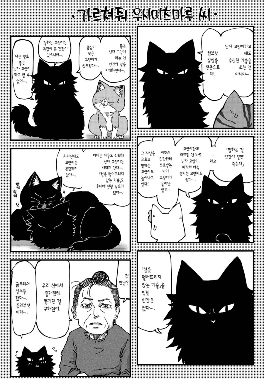 닌자고양이조차 버거웠던 상대.manhwa_2.png