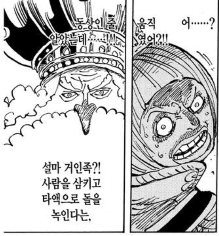 원피스) 세계관 내에 심각하게 퍼진 편견 중 하나_1.jpg