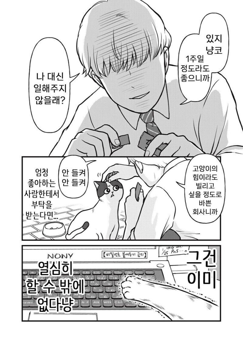 주인 대신 일하는 고양이 만화.manhwa_2.jpg
