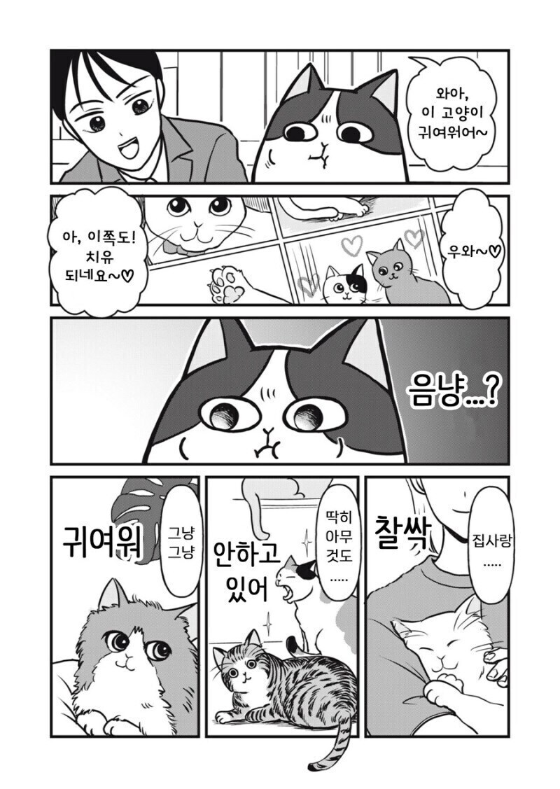 주인 대신 일하는 고양이 만화.manhwa_19.jpg