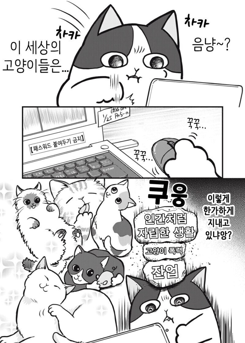 주인 대신 일하는 고양이 만화.manhwa_20.jpg