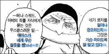 원피스)에서 비판하는 것 중 하나_2.jpg
