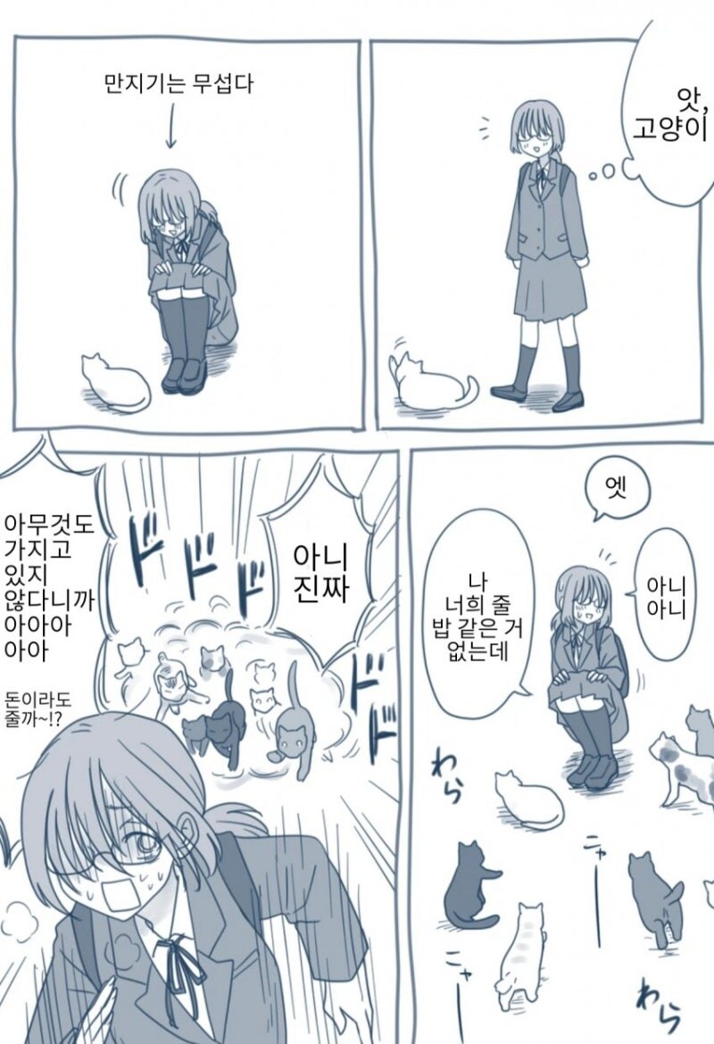 고양이들한테 인기 많은 만화_1.jpg