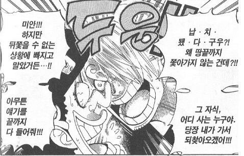 원피스) 동료가 납치됐단 소식 들었는데 루피가 침착한 이유_2.png