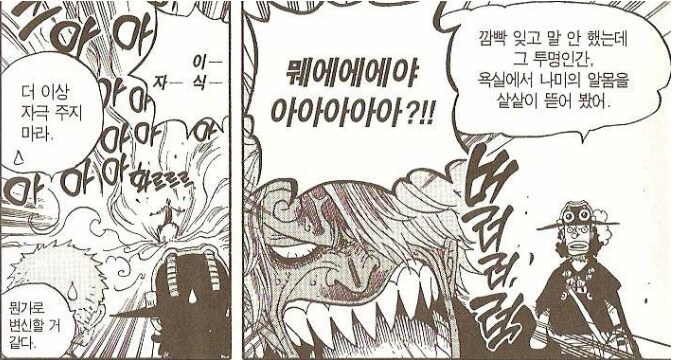 원피스) 동료가 납치됐단 소식 들었는데 루피가 침착한 이유_5.png